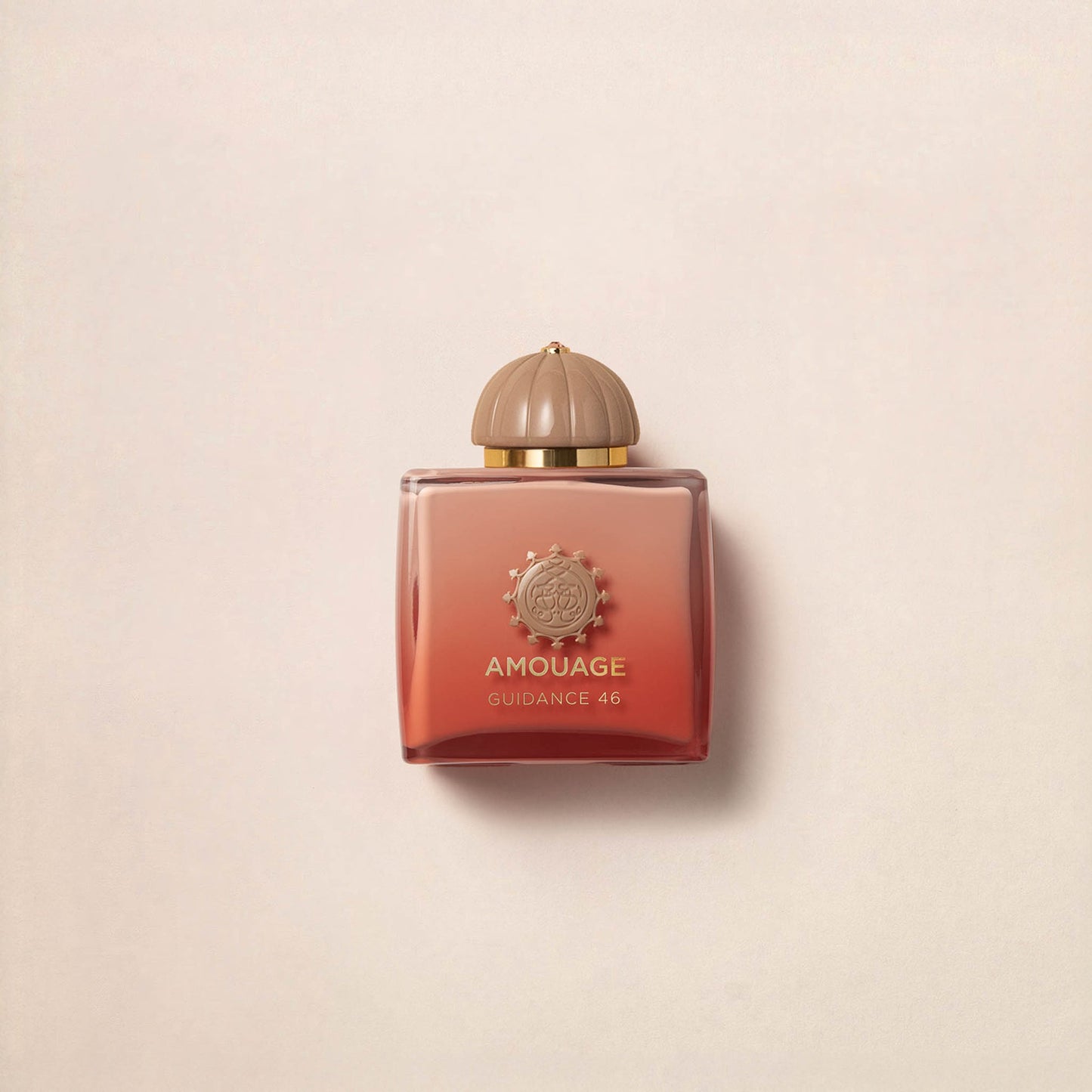 Am*uage Guidance 46 Extrait de Parfum ⢠100 ml