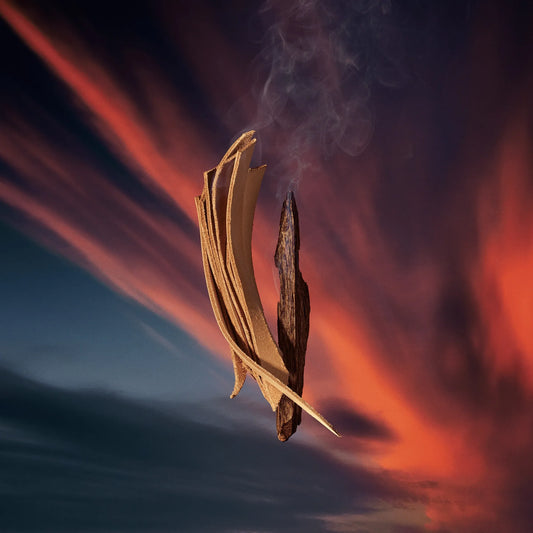 LV Nuit de Feu EDP 100 ml