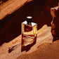 Hermes Terre D'Hermes Eau De Toilette For Men • 100ml