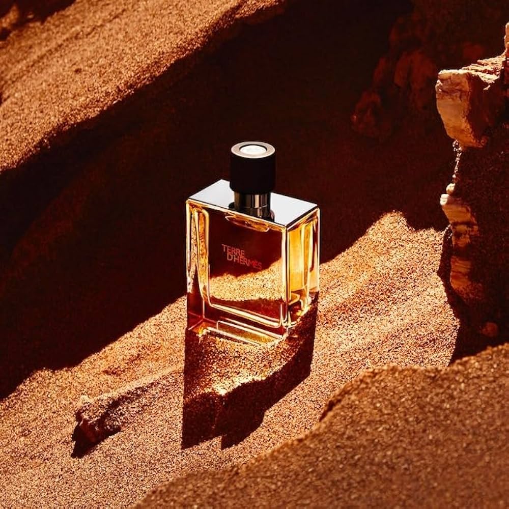 Hermes Terre D'Hermes Eau De Toilette For Men • 100ml